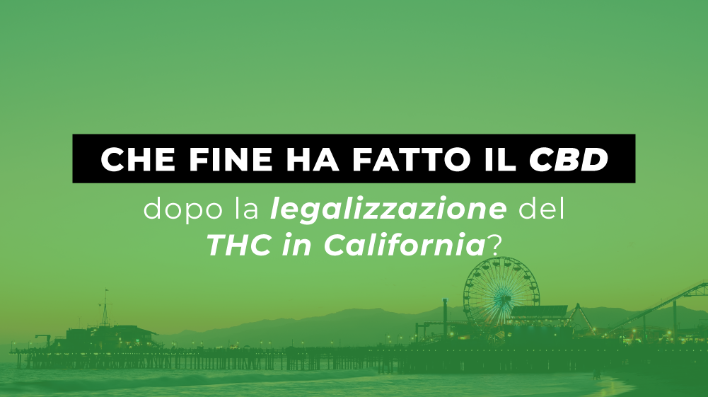 Che fine ha fatto il CBD dopo la legalizzazione del THC in California?
